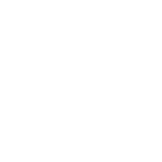 bcgo99's emblem
