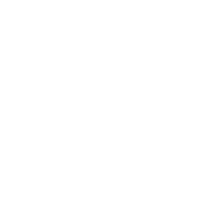BRAINGRIFFIN420's emblem