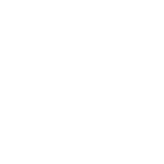 primitiveTP8's emblem