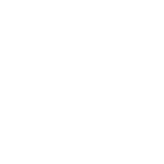 Emilio T1's emblem