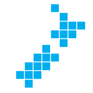 NZ Gamer's emblem