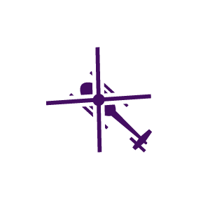 SeriousRoy's emblem
