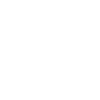 zenit4ik511's emblem