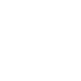P4niQue's emblem