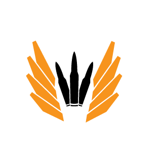 Punysher99's emblem