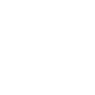 pppaaasssaaa's emblem