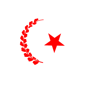 DespicableBurak's emblem