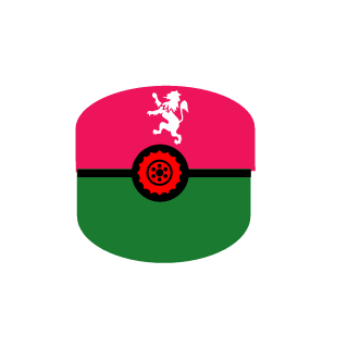 MasterRedPanda's emblem