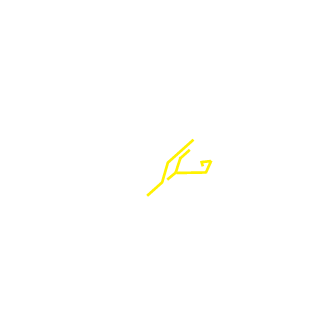XNeonNightRiderX's emblem