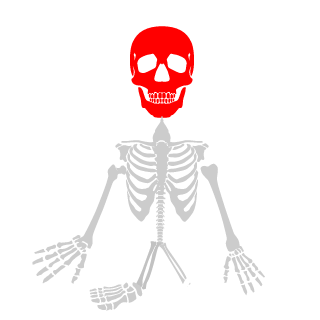 a7x_Bryan's emblem