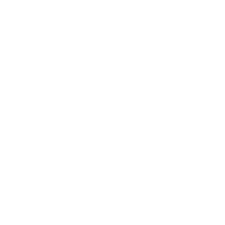 Danexdust's emblem