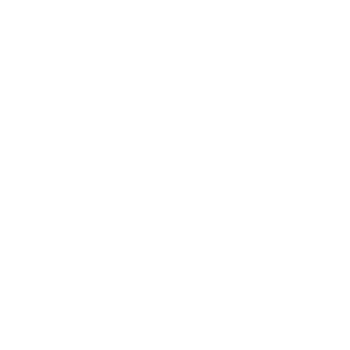 NanoSuitCZ's emblem
