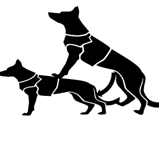 Platinum3agle's emblem