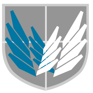 PiousShadows's emblem