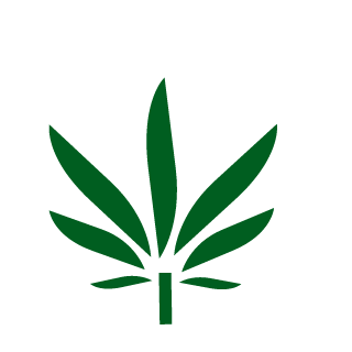 a4reaIgamer's emblem