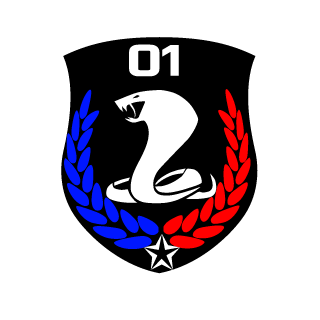 MOSAD's emblem