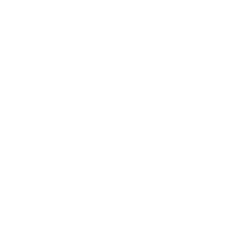 Lucas9Rodrigues's emblem