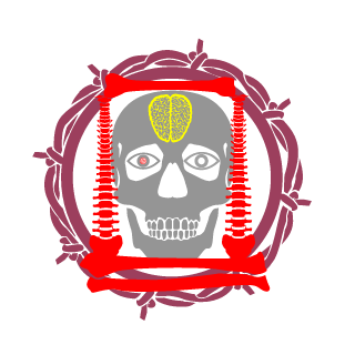 coolpis's emblem