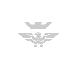 bto0357's emblem