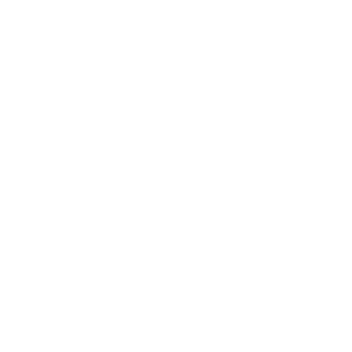 Rikkeli_FIN's emblem
