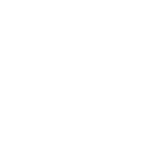 M_A_Seineldin's emblem