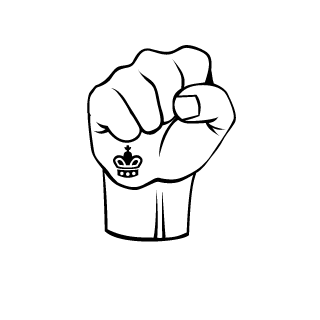 13SNOW37's emblem