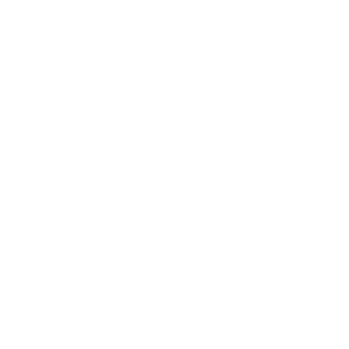 ZERODRAGON6's emblem