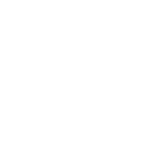 12LCPS12's emblem