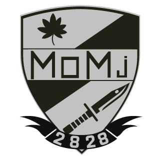 amuro2828's emblem