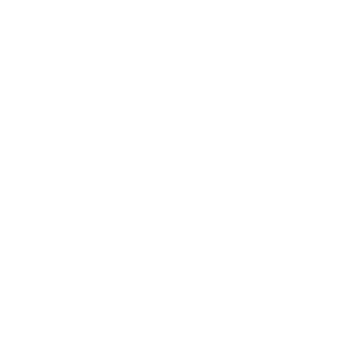 lyxbr's emblem