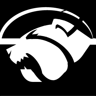 CA3S DE GU3RR4's emblem