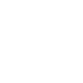 TrietHuan's emblem
