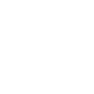 1337WHeisenberg's emblem