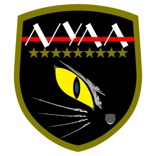 INAE1986's emblem