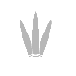 ironsky165's emblem