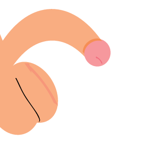 NaGiBaToR0033's emblem