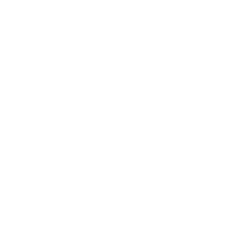 Stavis_CZ's emblem