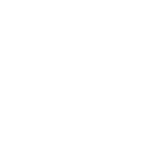 sbmarting's emblem