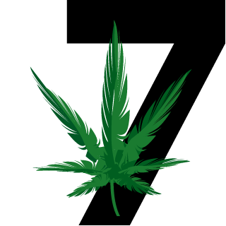 I-Wizzzard-I's emblem