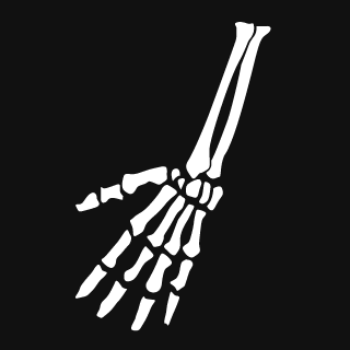 ARMS's emblem