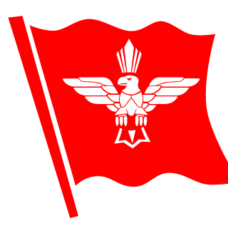 nsezgin's emblem