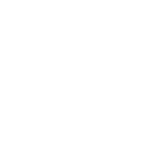 triple111's emblem