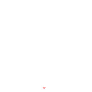 SPEAR BROTHERS!'s emblem