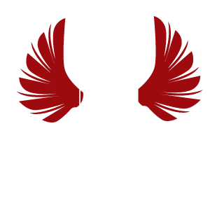 Fallofnoobs's emblem