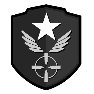 Fyurion1's emblem