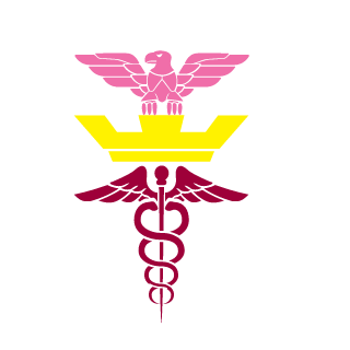 masterdoctor_123's emblem