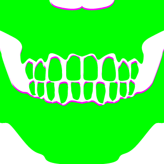 Sto1z's emblem