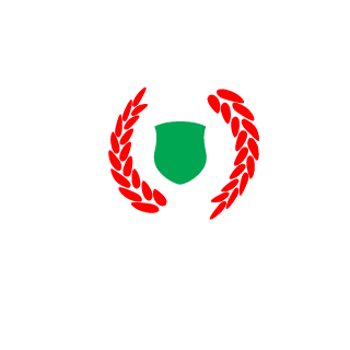 N-Ergyze's emblem