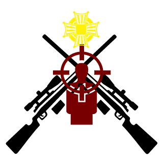 Hawk290's emblem