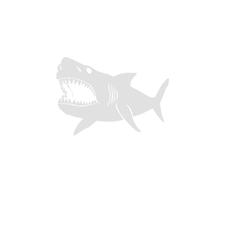 SSS_RANG44's emblem